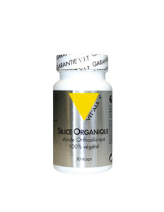 Slice Organique - 30 gélules