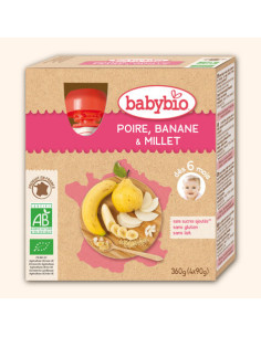 Gourde Fruits Poire, Banane, Millet - 4x90g