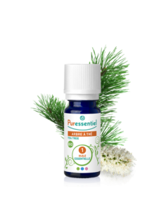 Huile Essentielle Arbre à Thé - 10ml
