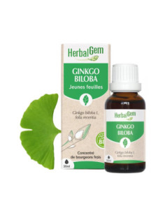 Herbalgem Ginkgo biloba macérat - 15ml