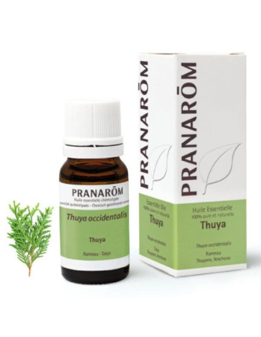 Pranarôm Huile Essentielle Thym Vulgaire à Linalol (Thymus vulgaris CT linalol) - 5 ml