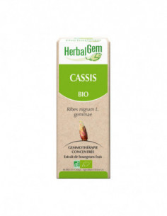 HerbalGem Bio Cassis - 30 ml