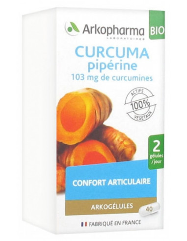 Arkopharma Arkogélules Curcuma Pipérine Bio -...