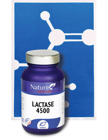 Lactose 4500 - 60 gélules