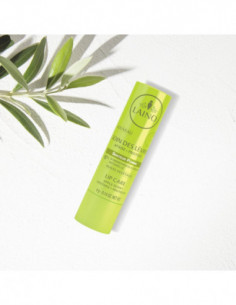 Soin des lèvres stick Pomme - 4g