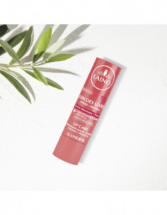 Soin des lèvres stick Grenadine - 4g