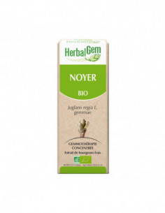 HerbalGem noyer bio - 30ml