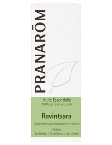 Pranarôm Huile Essentielle Ravintsara (Cinnamomum camphora CT cinéole) - 10 ml