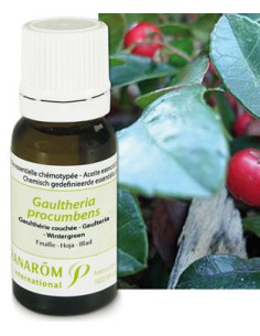 Huile essentielle de Gaultherie couchée - 10 ml