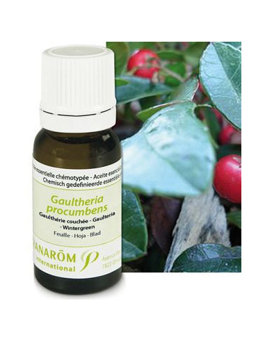 Huile essentielle de Gaultherie couchée - 10 ml