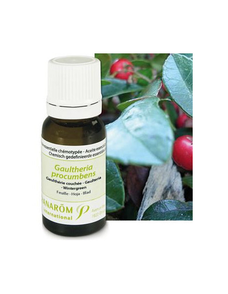 Huile essentielle de Gaultherie couchée - 10 ml