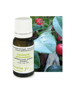 Huile essentielle de Gaultherie couchée - 10 ml 2