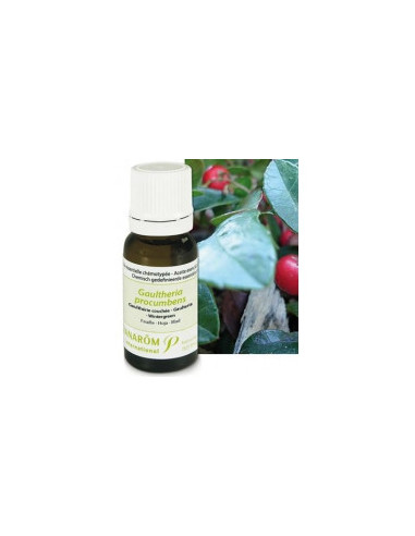 Huile essentielle de Gaultherie couchée - 10 ml