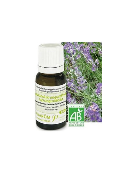 Pranarôm Huile essentielle Bio Lavande vraie - 10 ml