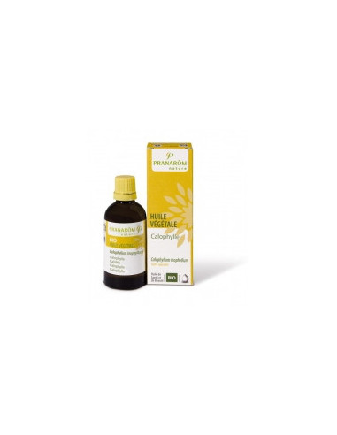 Huile végétale de Calophylle vierge Bio - 50ml