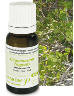 Huile essentielle de Mandravasarotra - 10 ml