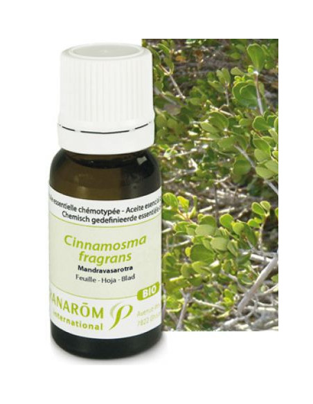 Huile essentielle de Mandravasarotra - 10 ml