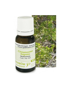 Huile essentielle de Mandravasarotra - 10 ml 2