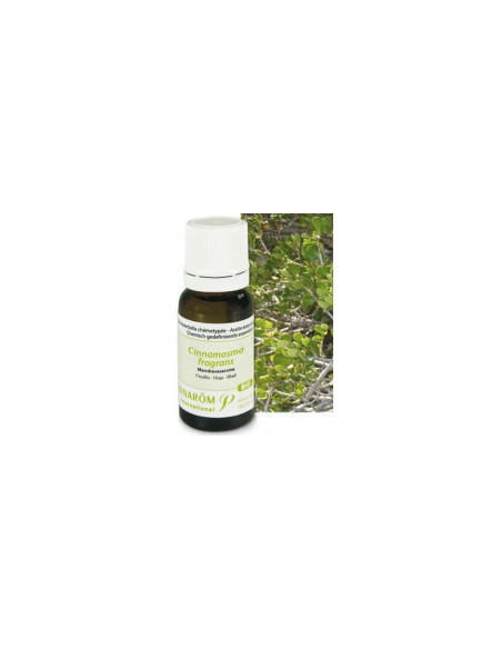 Huile essentielle de Mandravasarotra - 10 ml